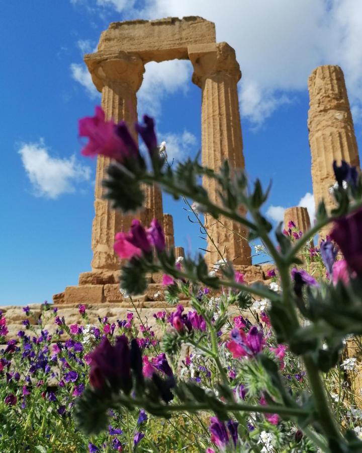 Tesori Di Girgenti Agrigento Exterior foto